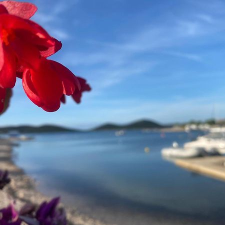 Amore Del Mare, Seaside Family Pace, Free Parking And Wifi In Camp Dalmatino Drage Bagian luar foto
